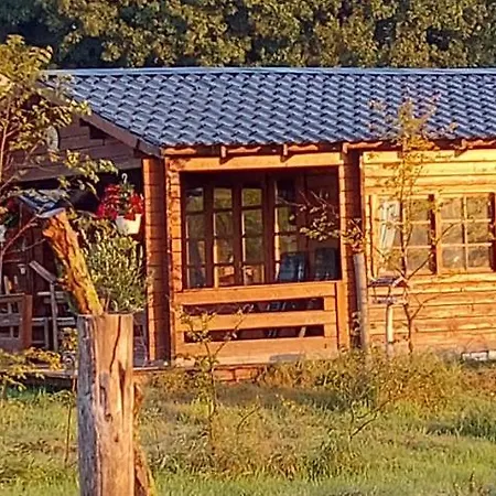 Ruime Romantische Blokhut Zwaanshoek